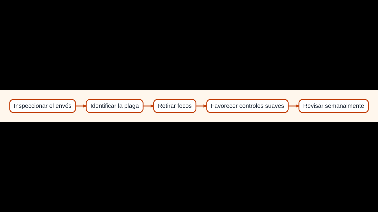 Diagrama para identificar, prevenir y controlar plagas comunes del pimiento