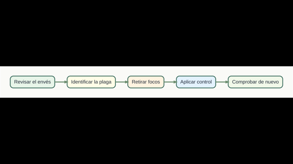 Diagrama original de cinco pasos para identificar y controlar plagas del tomate