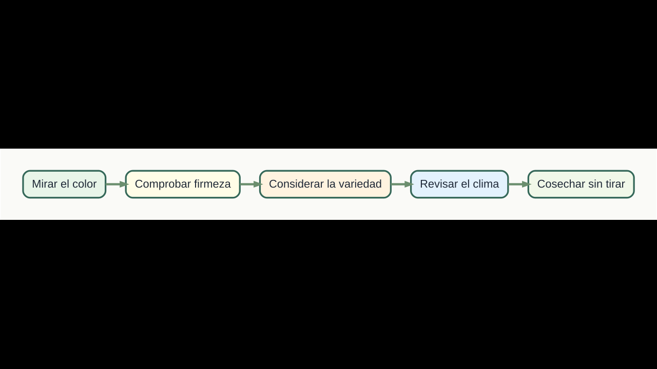 Diagrama original de cinco señales para decidir cuándo cosechar tomates