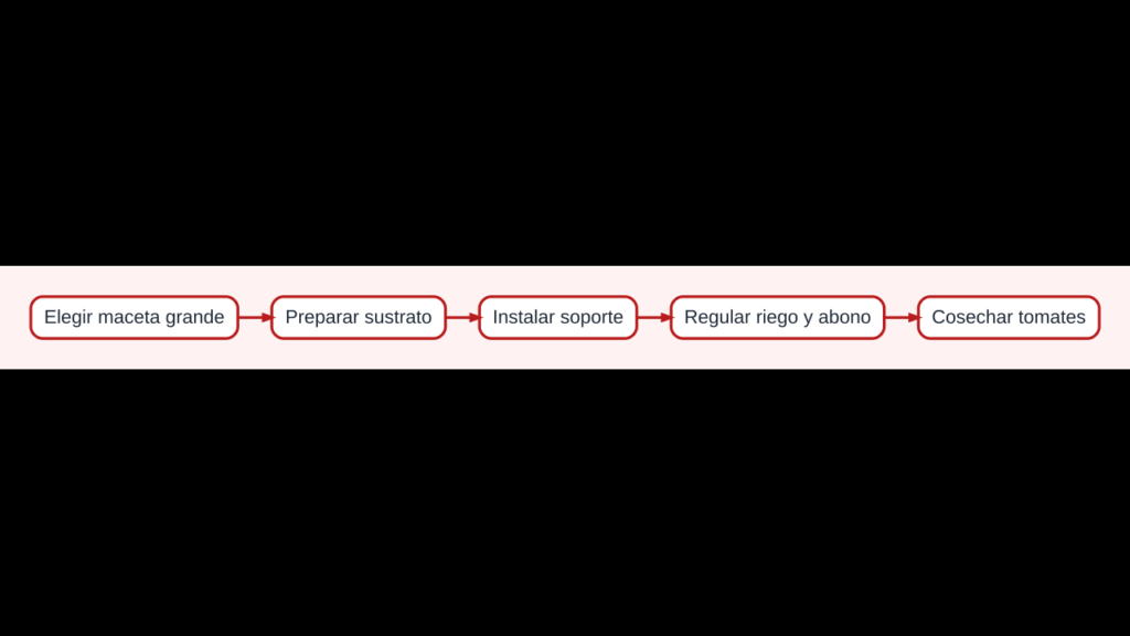 Diagrama del cultivo de tomates en maceta desde la elección del recipiente hasta la cosecha
