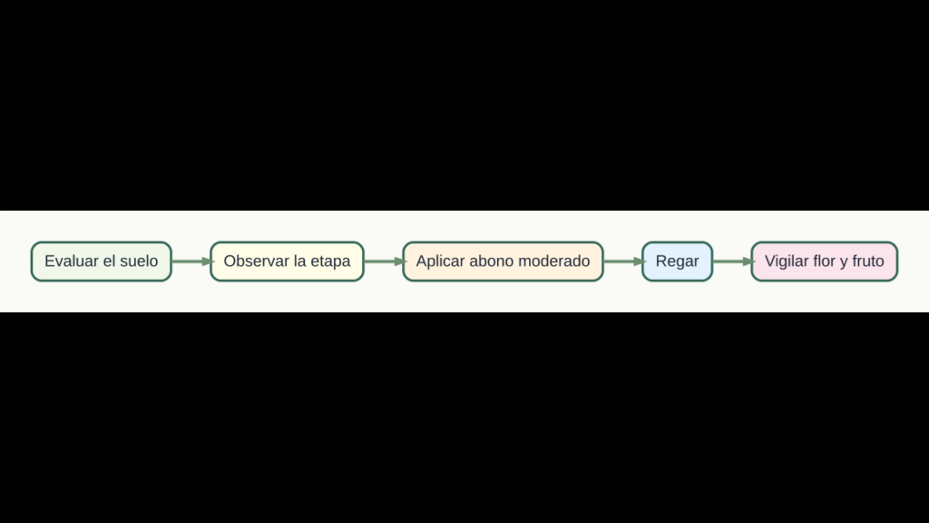 Diagrama original de cinco pasos para fertilizar berenjenas de forma equilibrada