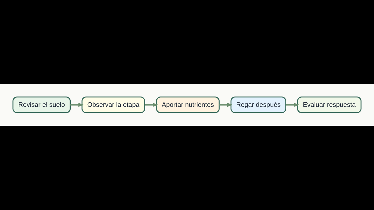 Diagrama original de cinco pasos para fertilizar plantas de tomate por etapas