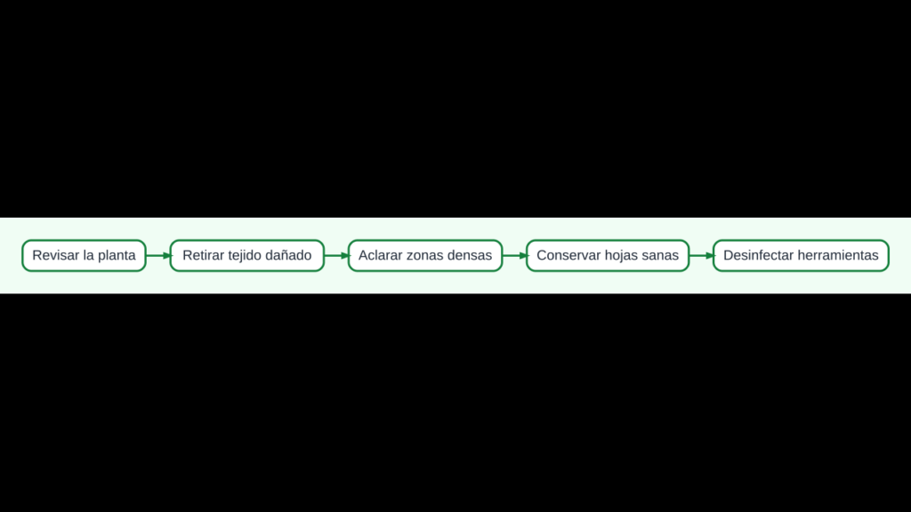 Diagrama para realizar una poda selectiva del pimiento sin debilitar la planta