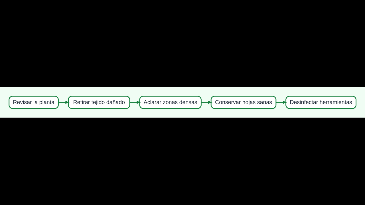 Diagrama para realizar una poda selectiva del pimiento sin debilitar la planta