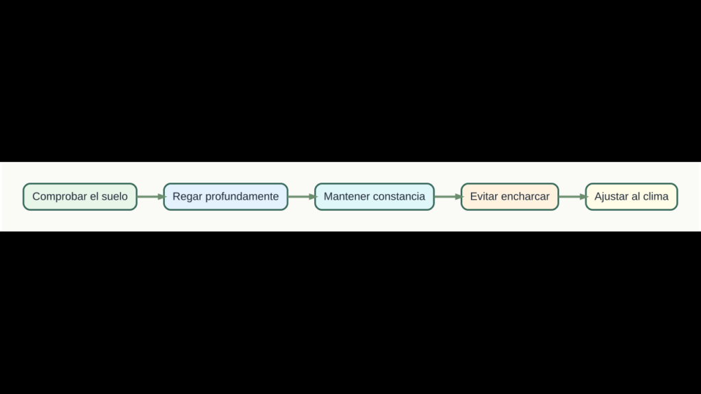 Diagrama original de cinco pasos para regar berenjenas sin encharcar