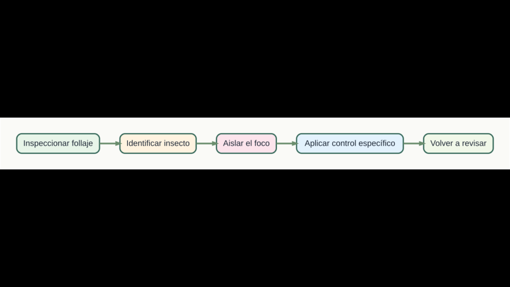 Diagrama original de cinco pasos para identificar y controlar plagas del limonero