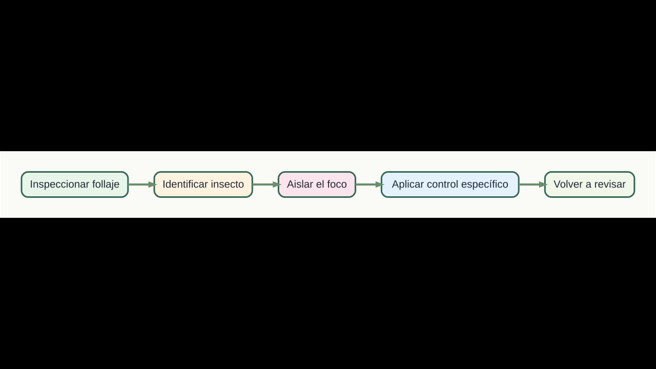 Diagrama original de cinco pasos para identificar y controlar plagas del limonero