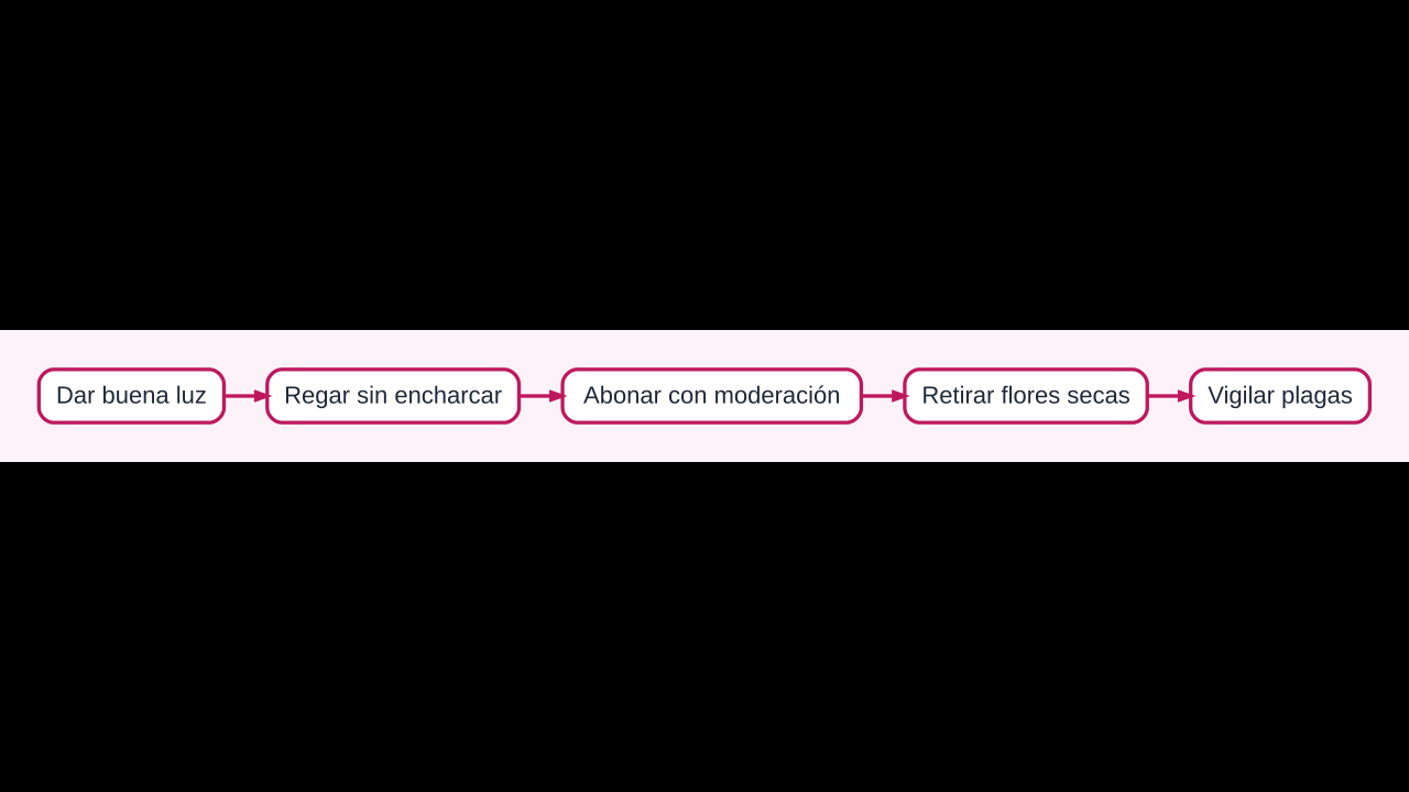 Diagrama de cuidados de petunias con sol, riego, abonado y retirada de flores