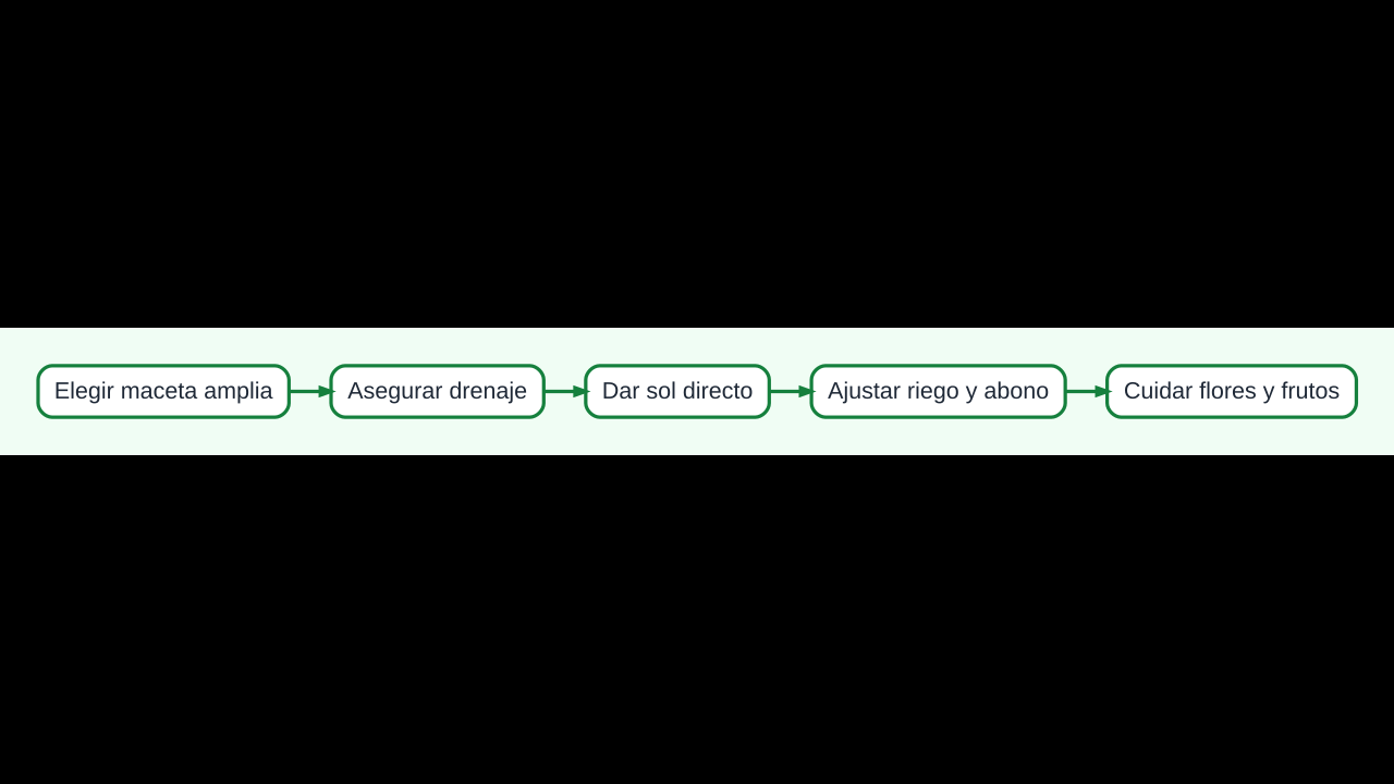 Diagrama del cultivo de un limonero en maceta desde el recipiente hasta la floración y la cosecha