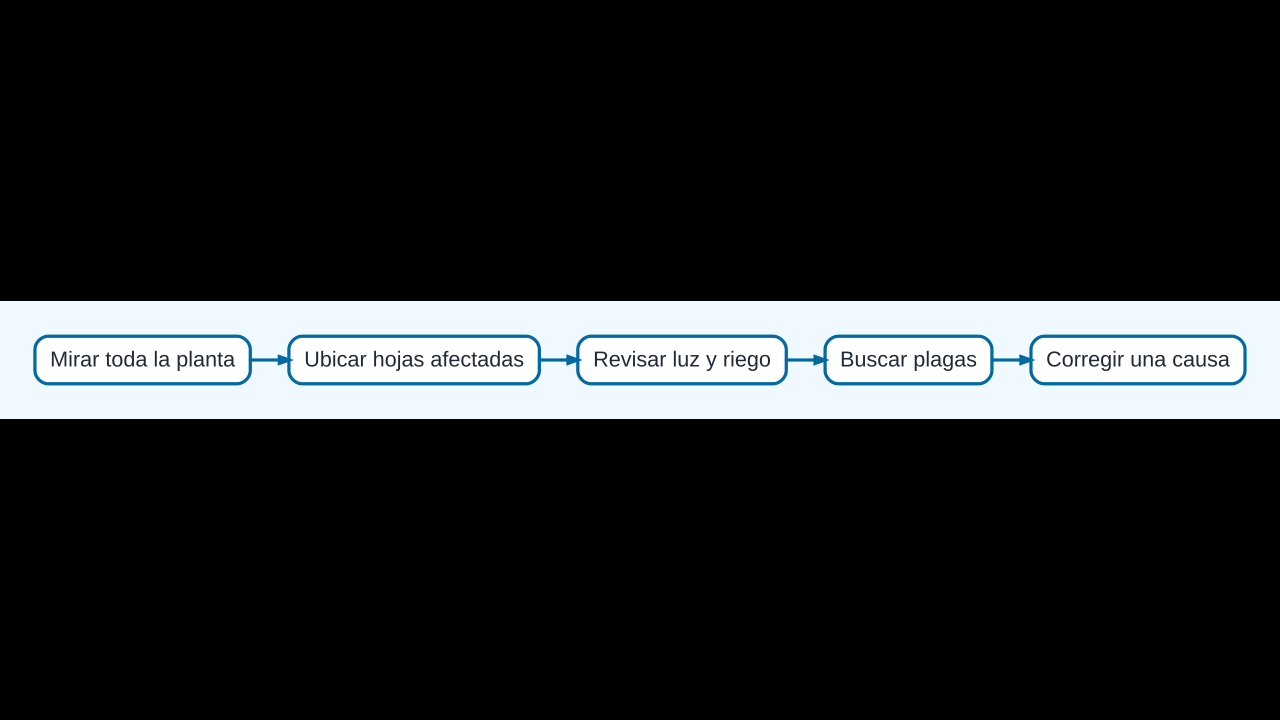 Diagrama para interpretar señales de luz, agua, nutrientes y plagas observando las hojas