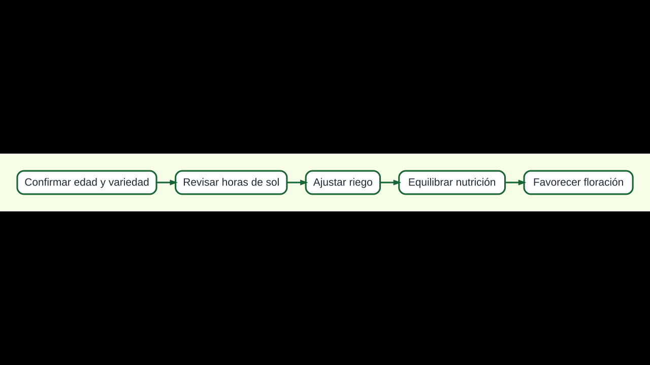 Diagrama para revisar luz, riego, nutrición y floración cuando un limonero no produce frutos
