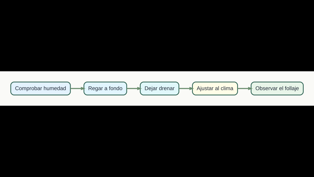 Diagrama original de cinco pasos para ajustar el riego de un limonero