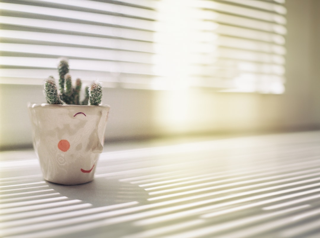 Planta de interior creciendo en una habitación con luz limitada