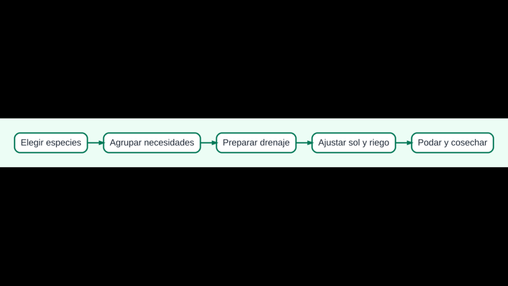 Diagrama para elegir y cuidar plantas aromáticas fáciles en maceta