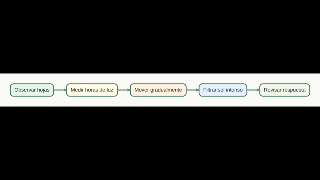 Diagrama original para diagnosticar y ajustar la cantidad de luz de una planta