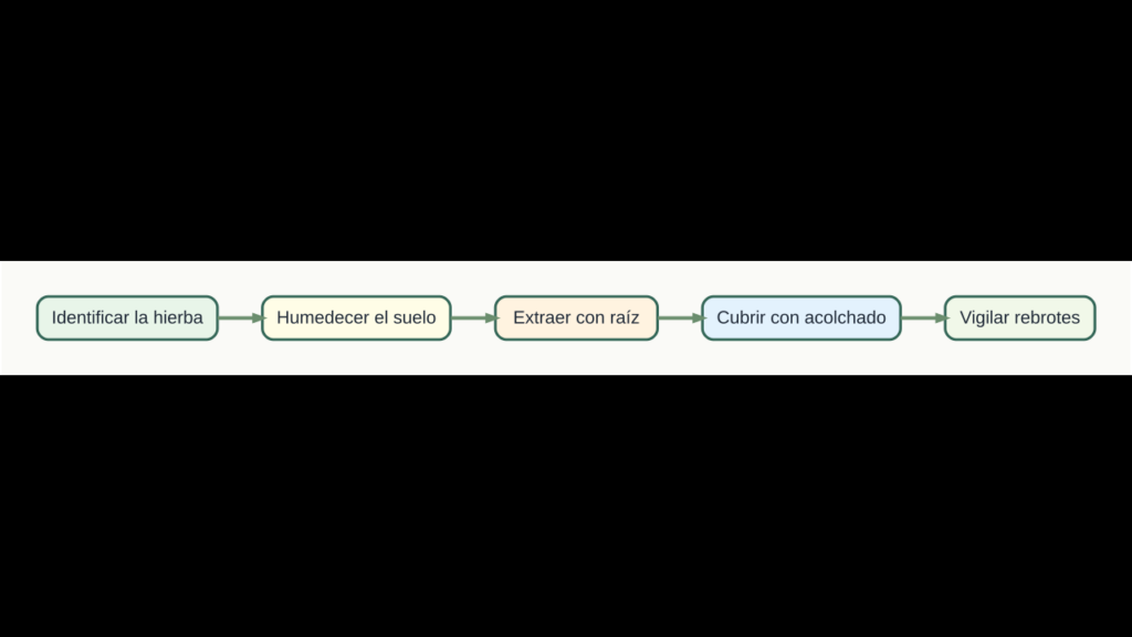 Diagrama original de cinco pasos para controlar malas hierbas sin dañar plantas