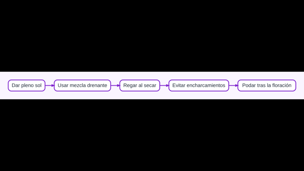 Diagrama de cuidados de lavanda en maceta con sol, drenaje, riego y poda