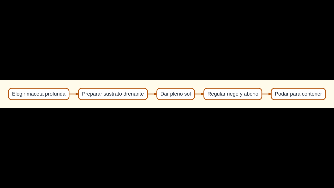 Diagrama del cultivo de mango en maceta desde el recipiente hasta el mantenimiento del árbol
