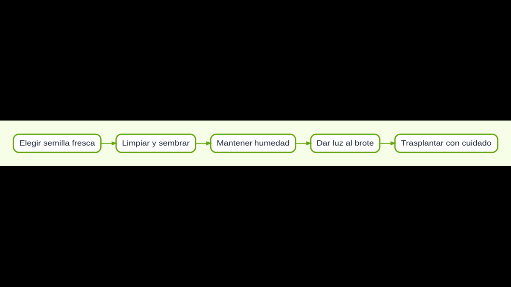 Diagrama para germinar una semilla de limón y cuidar la planta joven