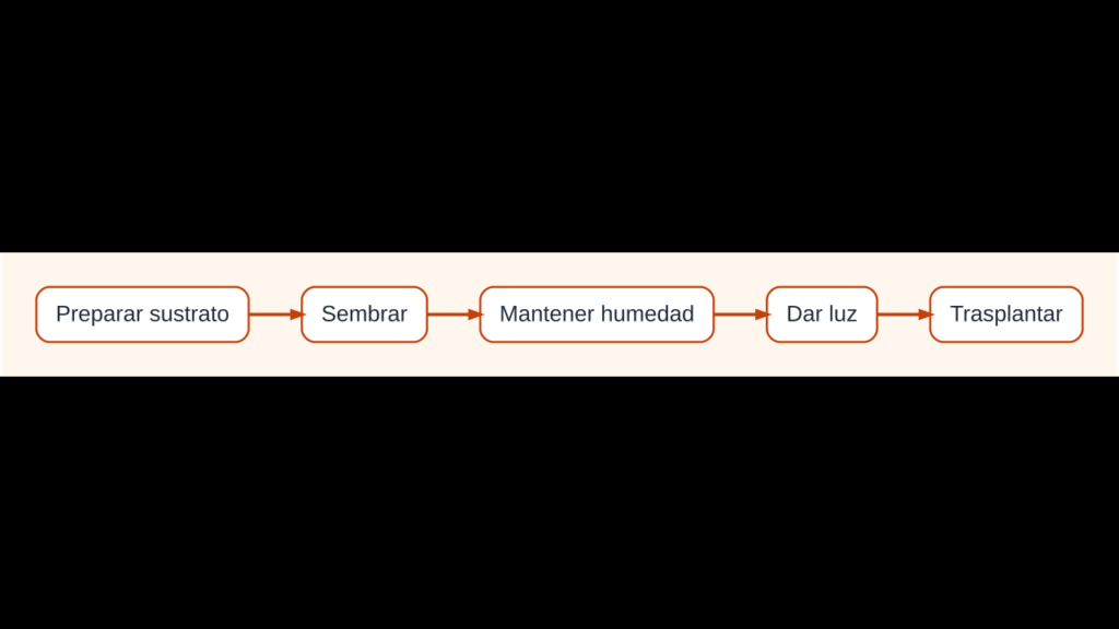 Diagrama del semillero desde el sustrato y la siembra hasta el trasplante