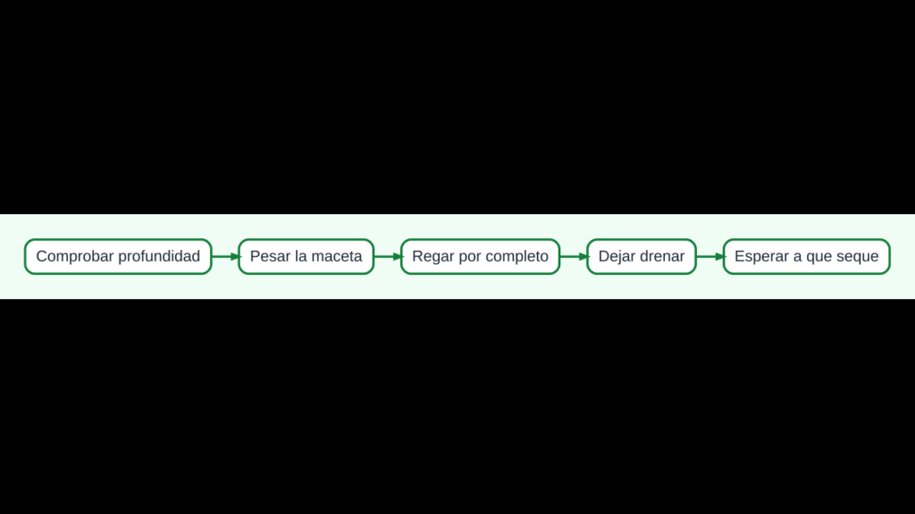 Diagrama para regar suculentas y cactus comprobando humedad, maceta y señales de las raíces