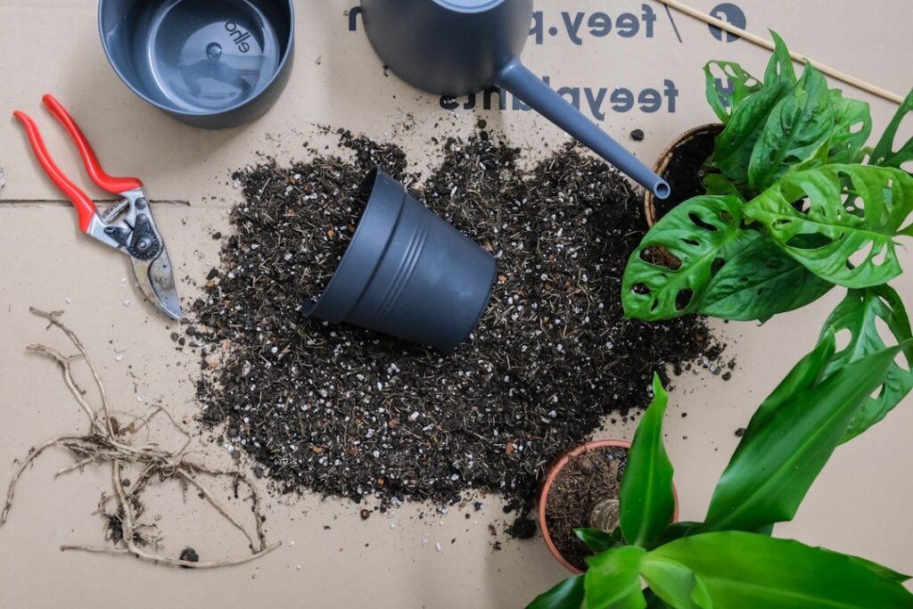 Materiales y herramientas preparados para trasplantar plantas de interior