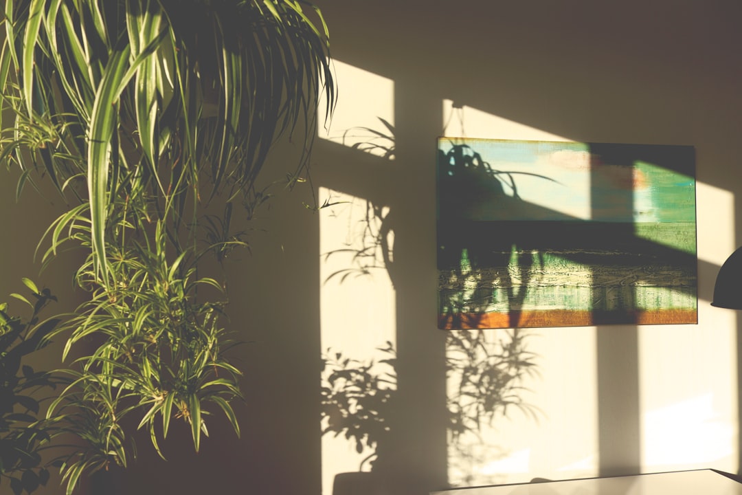 Planta inclinándose hacia una fuente de luz