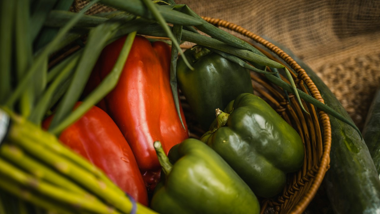 Canasta con pimientos verdes y rojos recién cosechados