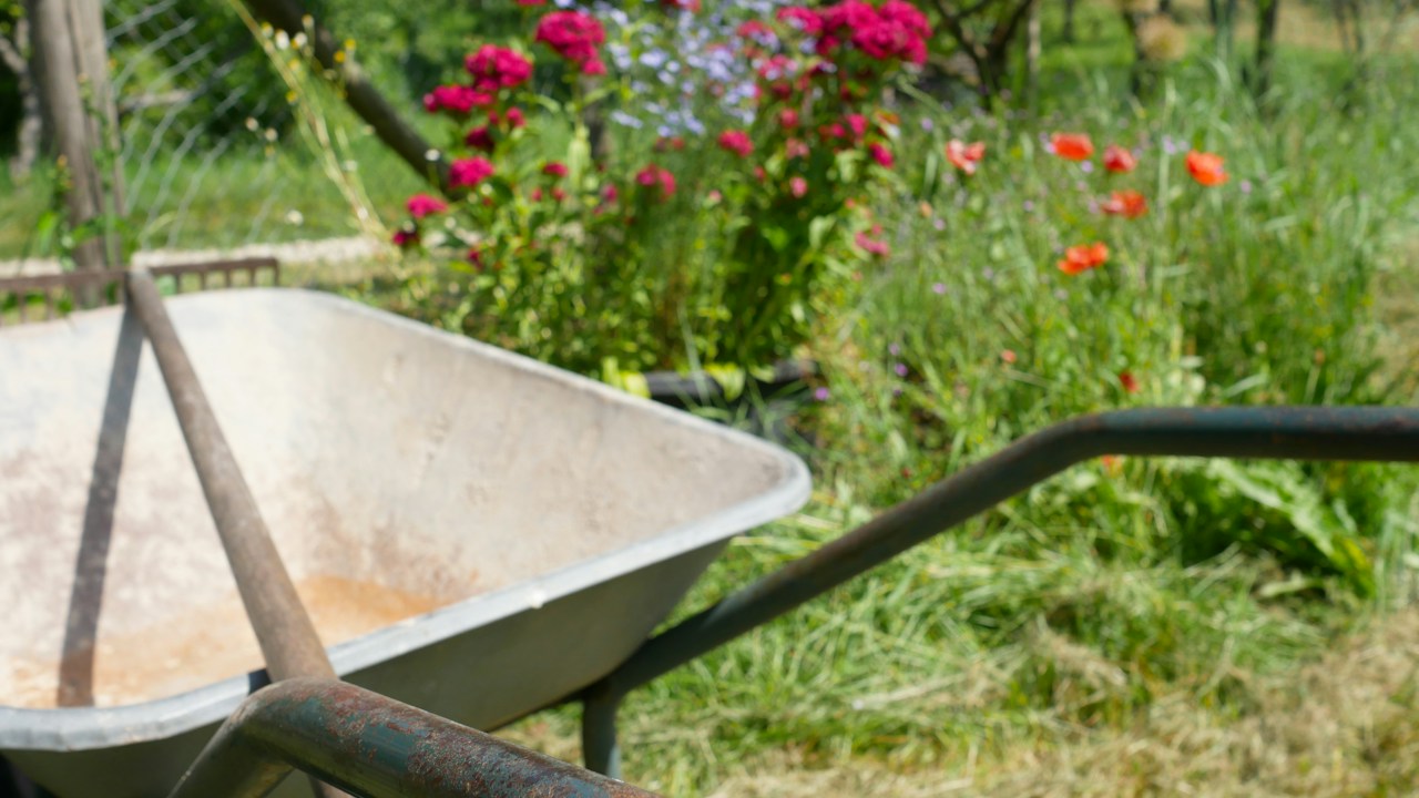 Cáscaras de huevo limpias y trituradas para el jardín