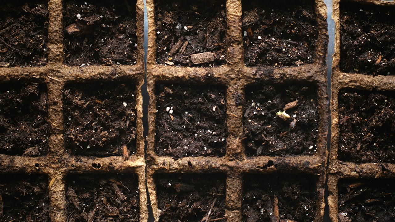 Recipientes con mezcla orgánica preparada para cultivo