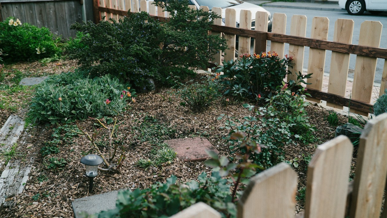 Jardín pequeño con zonas elevadas y circulación del agua