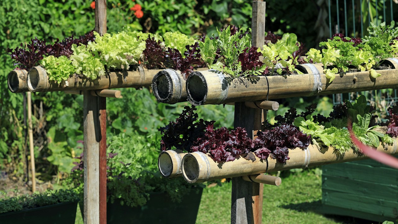 Hierbas aromáticas organizadas verticalmente en poco espacio