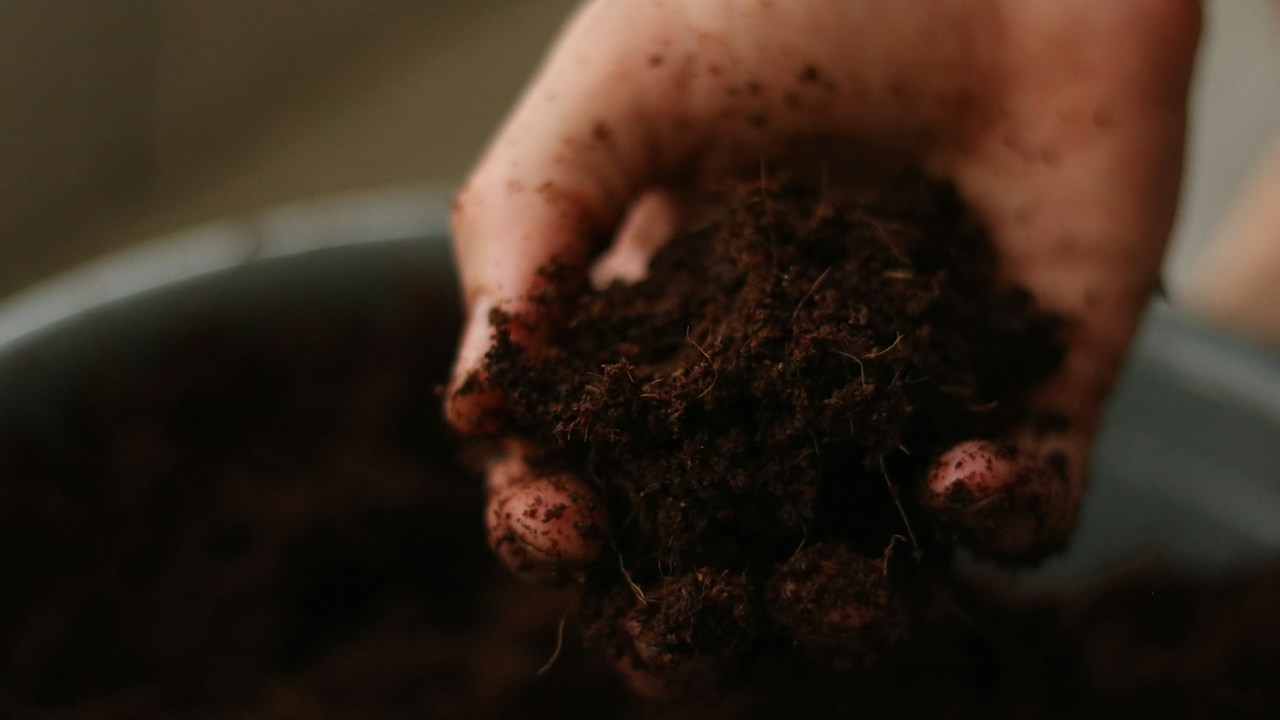 Muestra de tierra sostenida en la mano para evaluar su estructura