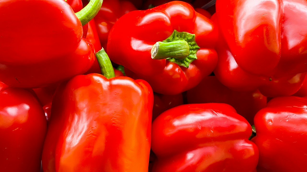 Pimientos cosechados después de una floración y cuajado adecuados