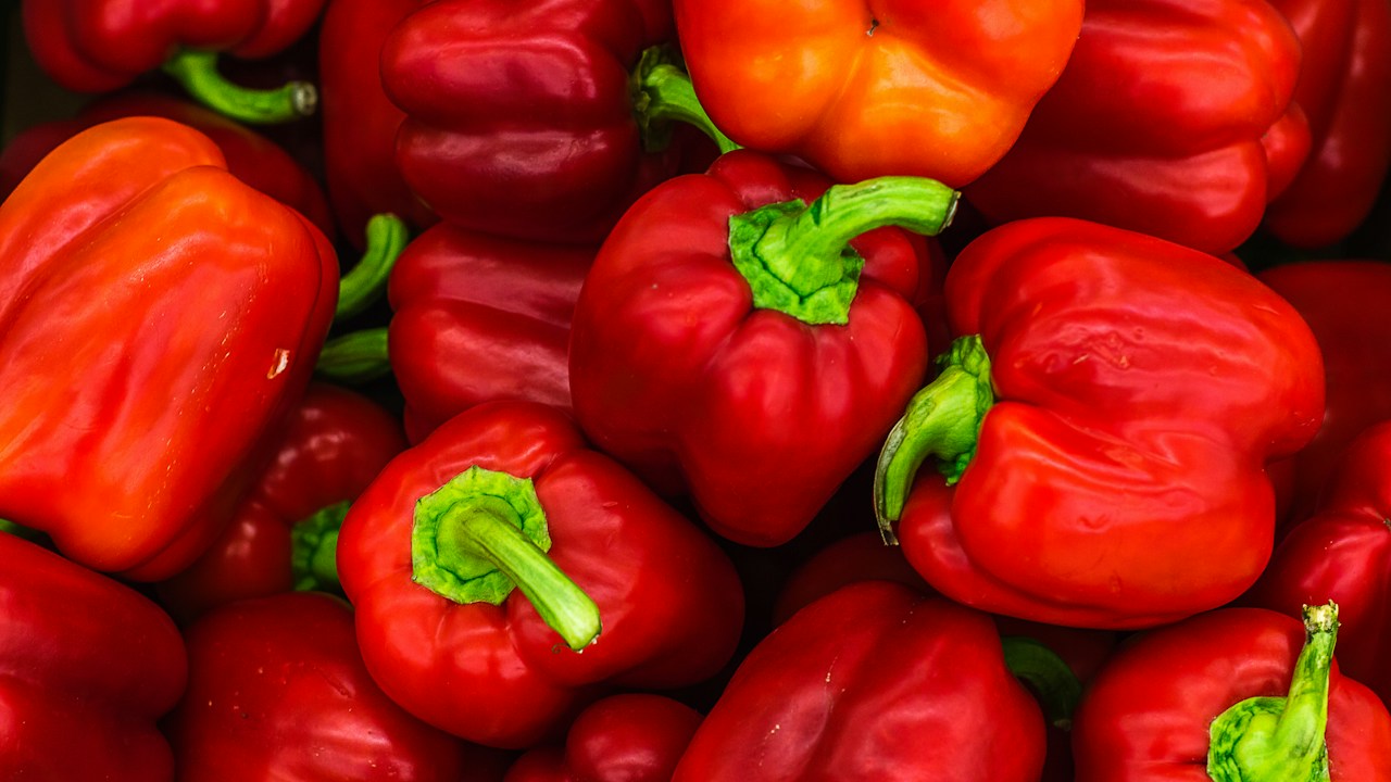 Pimientos rojos como referencia del resultado del cuajado