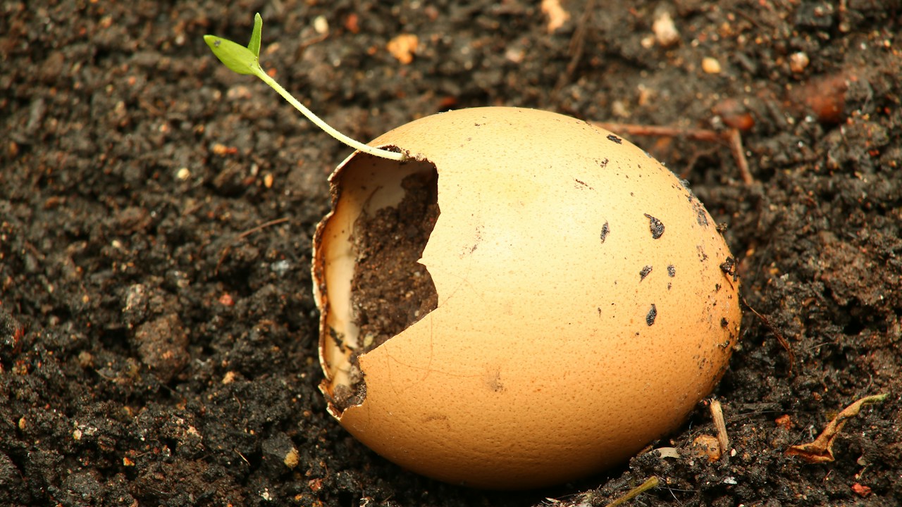 Residuos orgánicos separados para incorporar posos de café al compost