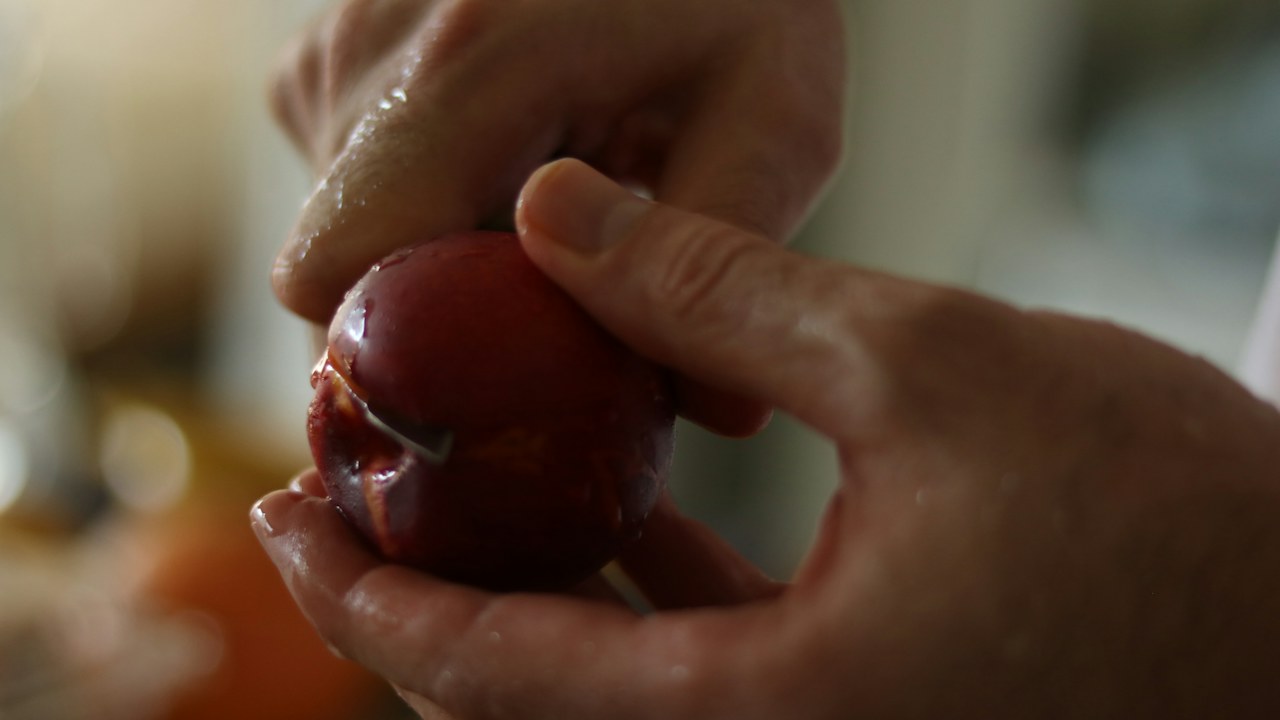 Retirada manual de un brote lateral de tomatera