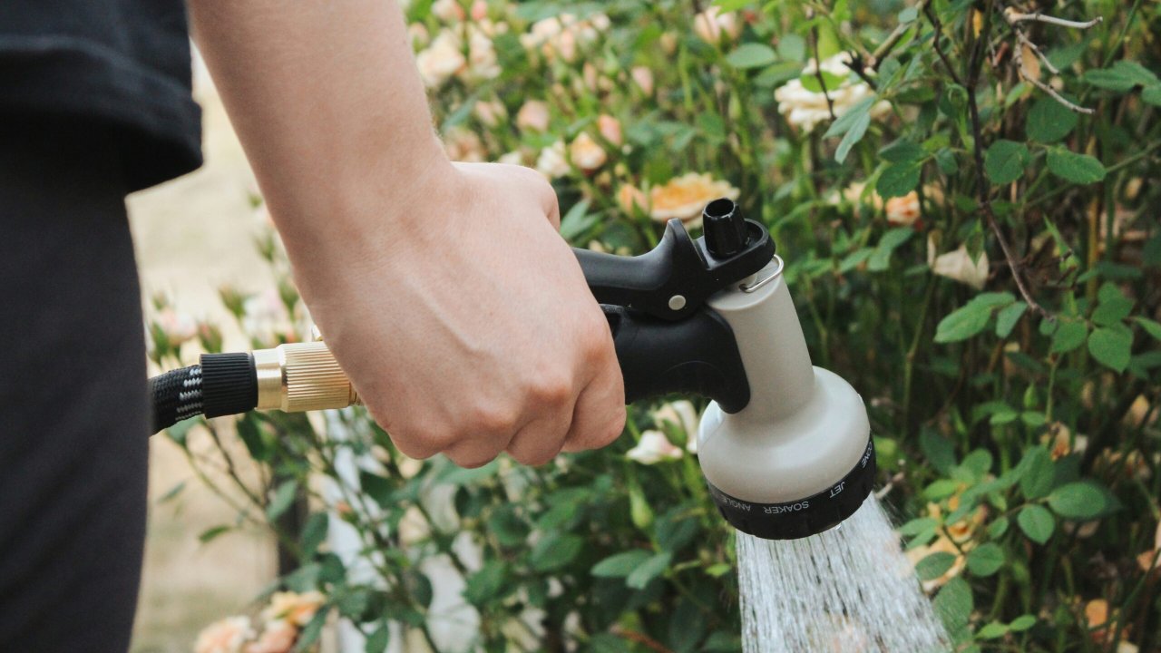 Persona regando la zona del suelo junto a las plantas
