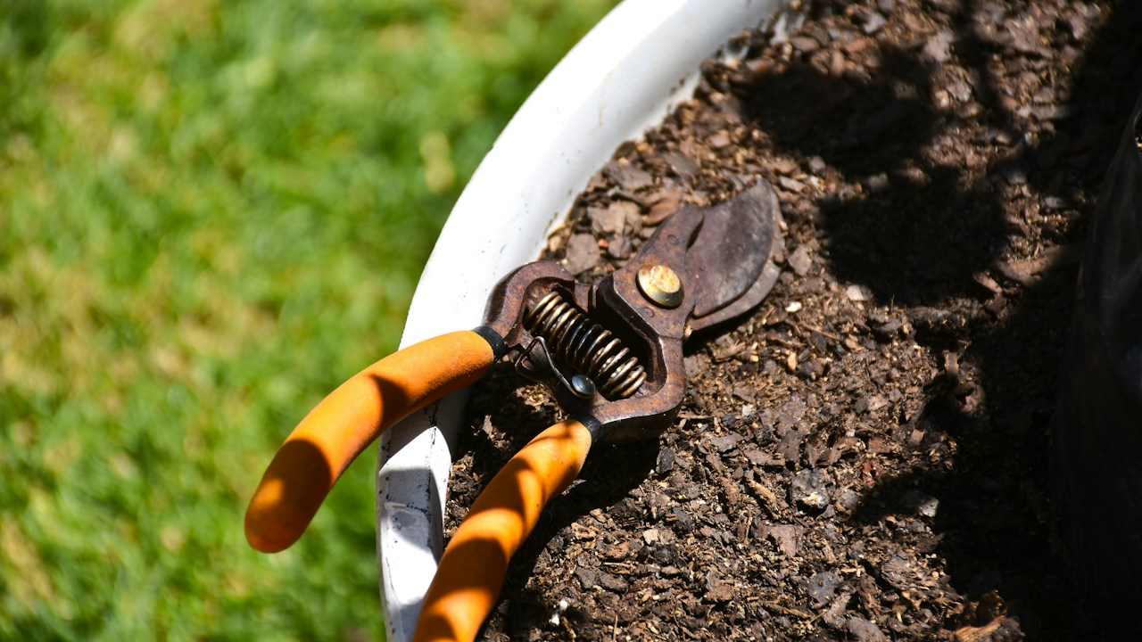Tijeras de jardinería usadas para un pinzado puntual